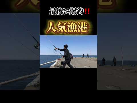 最後に爆釣‼️さすが人気漁港　2024年4月6日