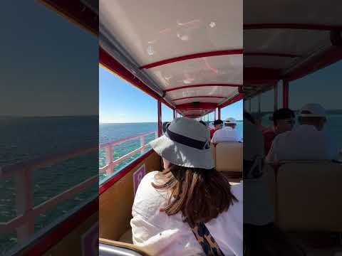 Busselton Jetty, Western Australia 1800 m long pier