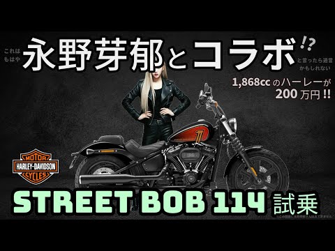 ハーレーダビッドソン ストリートボブ114試乗レビュー！これは ほぼ永野芽郁とコラボ!?