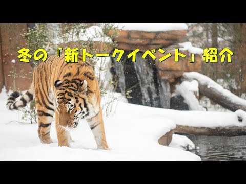 冬の新トークイベント紹介します！