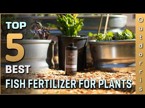 Top 5 Best Fish Fertilizer for Plants Review in 2023