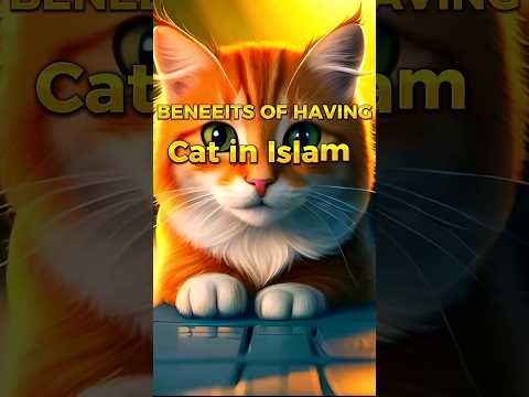 Benefits Of Having Cat In Islam |#islamicshorts #cats  #viralislamicvideo #catsinislam #catlover