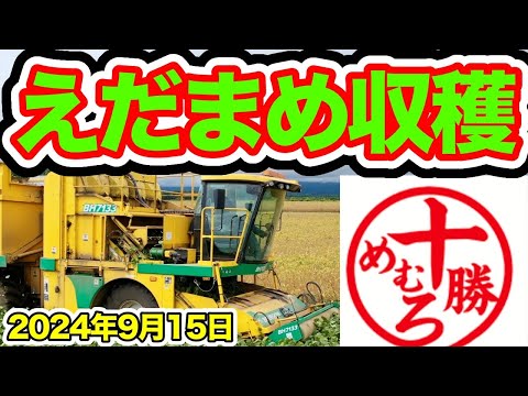 Tokachi Memuro [Edamame Harvesting