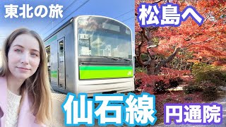 東北の旅仙台に行きます！仙石線で仙台駅→松島海岸駅！円通院の紅葉🍁