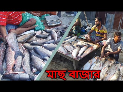 Biggest Fish Market | মাছ বাজার | Amazing Fish Market | River Monster Fish | Fish Market Bangladesh