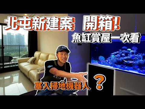 【藍箱水族】北屯新建案的裝潢魚缸！竟然結合掃地機器人？新手魚友第一缸~陳先生魚缸！