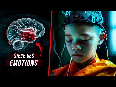 Les effets incroyables de la Méditation !