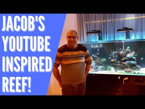 Youtube inspired Reef Tank!! Jacob's CADE 2100