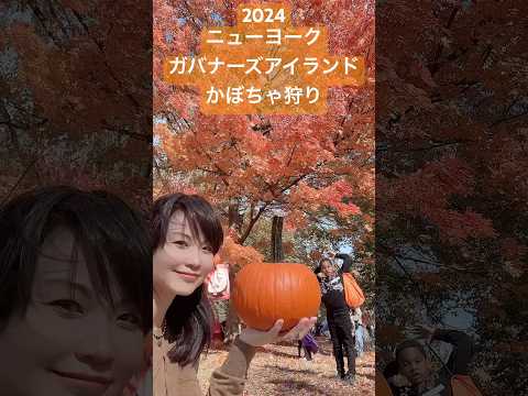 #shorts #ハロウィン #ニューヨーク #かぼちゃ  2024ニューヨーク　ガバナーズアイランドかぼちゃ狩り　家族で参加