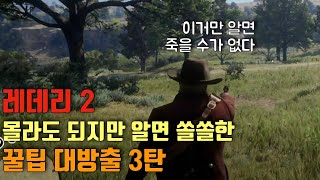 [레데리2] 몰라도 되지만 알면 쏠쏠한 꿀팁 대방출 3탄 - 이거만 알면 죽을 수가 없다