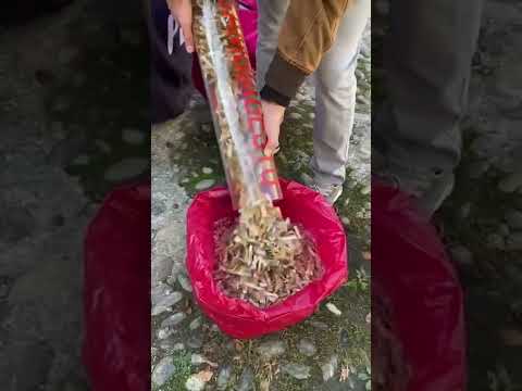 “Tanto è solo un mozzicone” eppure in pochi sanno che al suo interno contiene anche plastica.