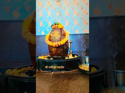 Narmadeshwar Shivling Darshan #shorts #youtubeshorts #shortvideo #viral