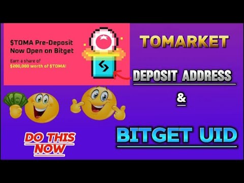 How To Find Tomarket Deposit Address and Bitget Exchange UID