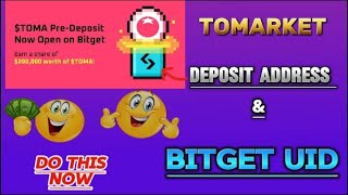 How To Find Tomarket Deposit Address and Bitget Exchange UID