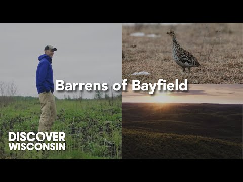 Wisconsin’s Barrens of the Northwest Sands