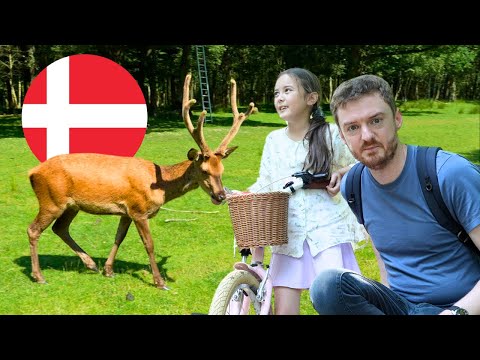 FAMILY Fun at ESBJERG Deer Park (Denmark VLOG 2024)