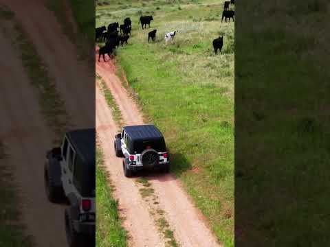 Overlanding Wyoming #shorts