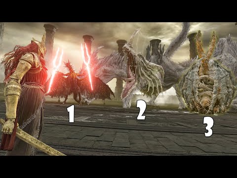 Can Malenia Survive The Dragon Bosses Arcade? - Elden Ring