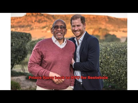 Prince Harry's Art Exhibition for Sentebale: A Heartfelt Initiative