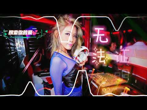 无法证明dj 女生版 dj remix 2022 中文舞曲