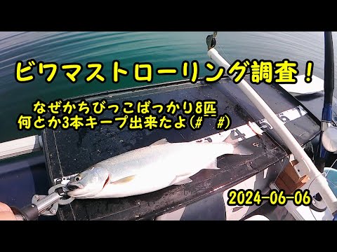 2024-06-06 ビワマストローリング調査！