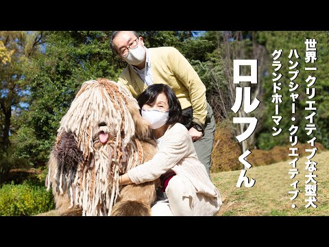 ロルフくん（世界一クリエイティブな大型犬）①注目の犬種ハンプシャー・クリエイティブ・グランドホーマンが日本メディアに初登場！【ロバート秋山のクリエイターズ・ファイル#67]