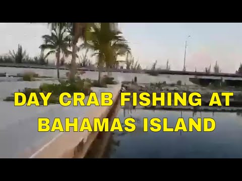 Vlog #1003 Day Crab Fishing At Bahamas Island 🏝️