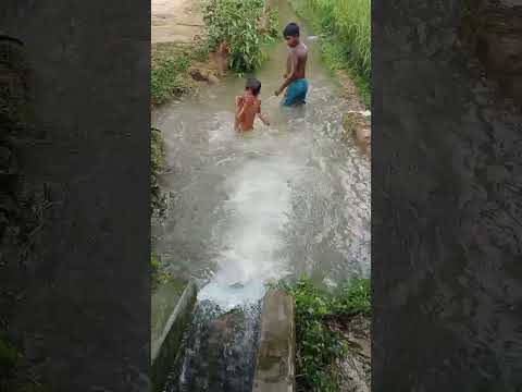 #children #chill #water #automobile #jump #swimming #love #lovely #youtubeshorts #md_ashiqur_rahman