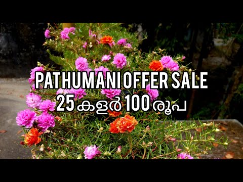 pathumani combo offer sale!!100 രൂപയുടെ 25variety 100!!💯💥