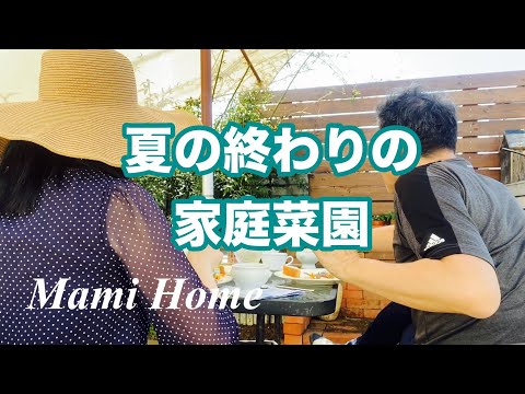 夏の終わりの家庭菜園／50代夫婦の日常