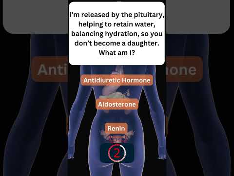 Learn About Your Hormones! 🧠 #EndocrineSystem 6