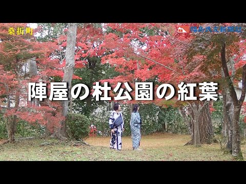 陣屋の杜公園の紅葉