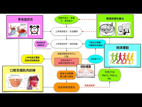 20240502 睡眠醫學臨床個論 睡眠呼吸障礙