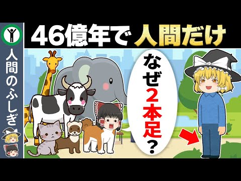 なぜ人間だけ直立２足歩行なのか？【ゆっくり解説】