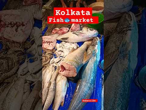 Kolkata fish market 🐟😱🔥| Billi bhi khayegi 😁| #trending #viralvideo #youtubeshorts #shorts #fish