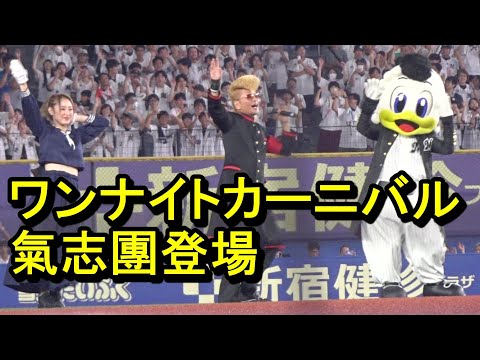 ZOZOマリンに氣志團登場、『ワンナイトカーニバル』2024.9.6