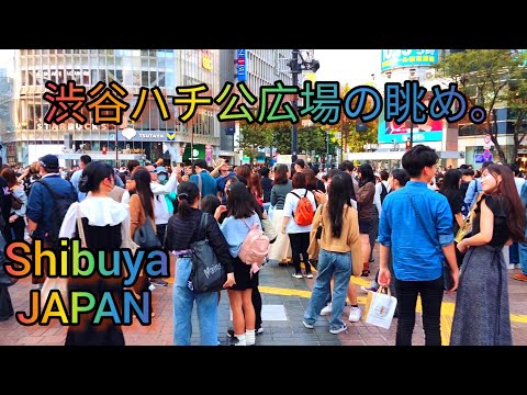 [4K] 渋谷ハチ公広場の夕方の群衆の眺め。東京、日本。Shibuya walking Tour. Tokyo, Japan. October, 2024