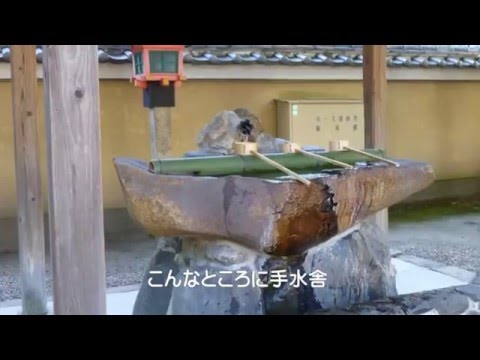 率川神社