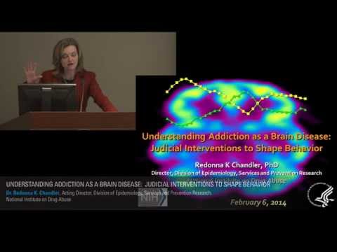 Redonna K. Chandler presents Understanding Addiction. Vanderbilt Judicial Colloquium, Feb 2014