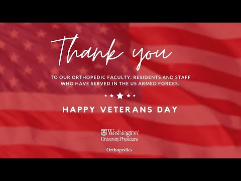 Veterans Day Tribute Facebook Story