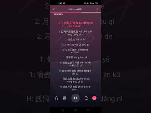 Hàn nha (Quạ xám) - Ayueyue || 寒鸦 [阿yueyue] Karaoke Pinyin