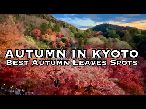 Best Autumn Leaves Spots in Kyoto | Autumn Colors | Kyoto, Japan