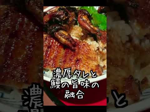 東京 有楽町 うな富士の肝入り上うなぎ丼 #東京グルメ #東京うなぎ