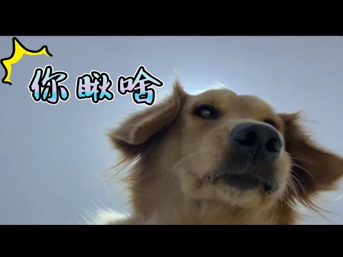 看什么看，你该睡觉了