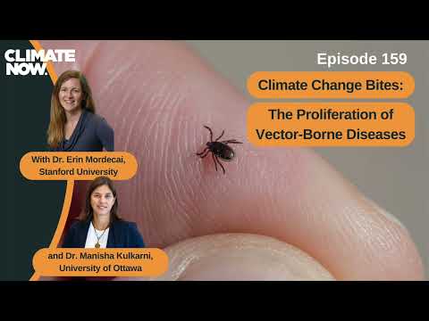 Climate Change Bites: The Proliferation of Vector-Borne Diseases