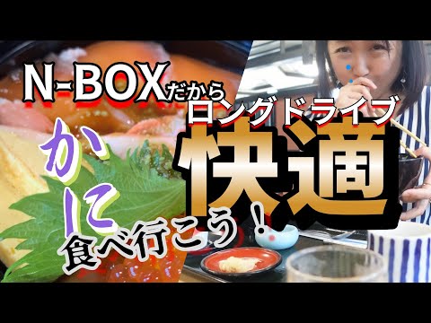 【N-BOX】グルメ旅！【激うま】そうだ！カニ食べに行こう♪新潟・寺泊で日本海の幸を堪能！ぷりぷりのカニや海鮮にびっくり♡#軽自動車 #diy #車中泊 #関越自動車道 #海鮮