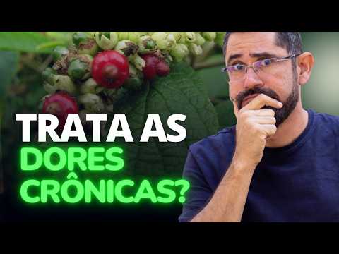 Erva-Baleeira: O TRATAMENTO Natural para DORES