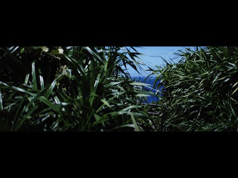 【伊良部島 フナウサギバナタ】 / SONY FX3 / SIRUI Saturn Anamorphic lens 50mm T2.9