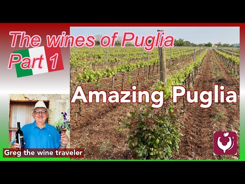 Amazing Wines of Puglia, Part 1