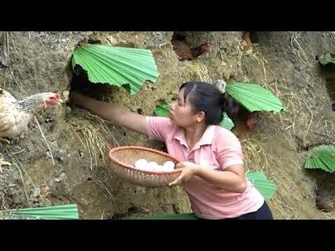 single mother digs nest for hens to lay eggs and how to catch stream fish to survive.